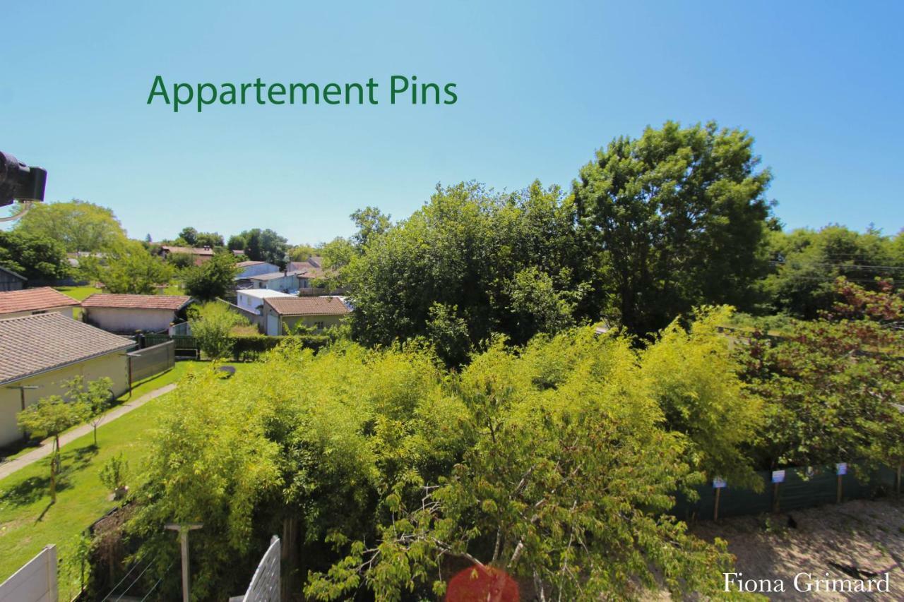 Bureaux Appartements Lesparre Medoc المظهر الخارجي الصورة